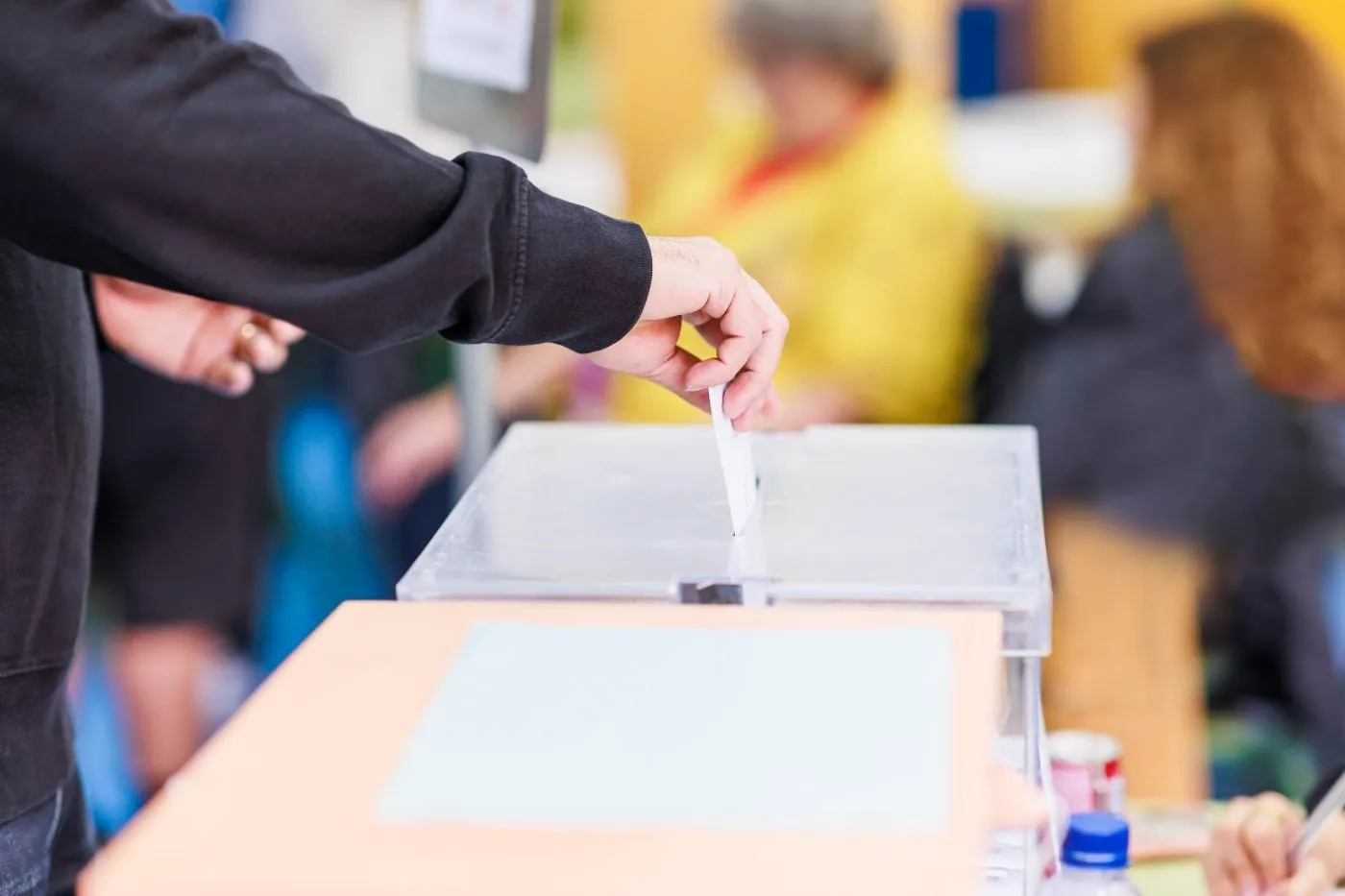 Elecciones Renovación Consejo Escolar