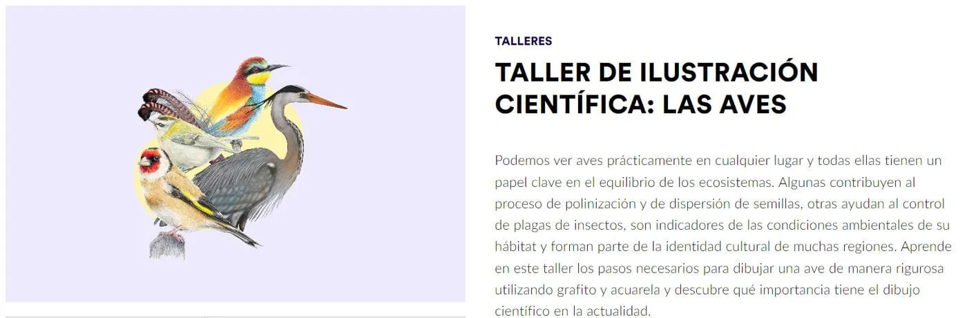 Salida 5º de primaria. Cosmocaixa. Taller de ilustración científica