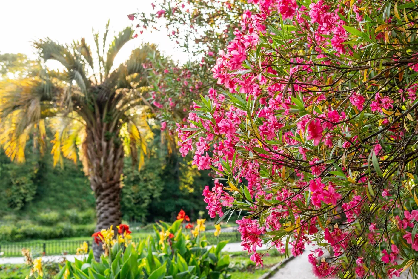 Salida Cultural al Real Jardín Botánico – 1º de ESO