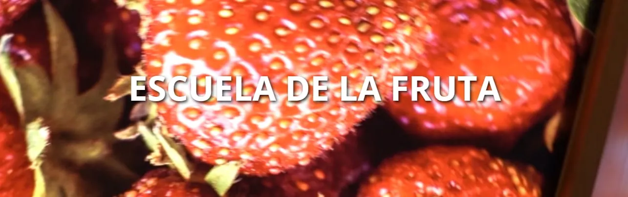 Salida Escuela de la Fruta 5º de Primaria