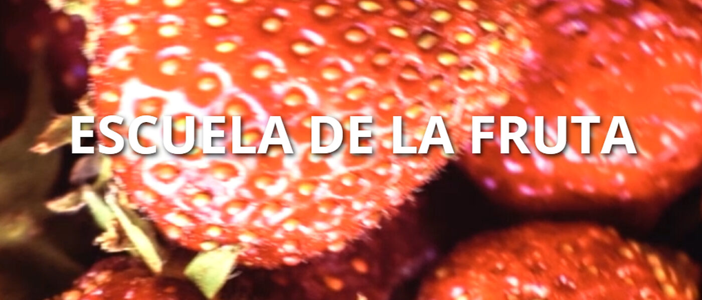 banner_fruta